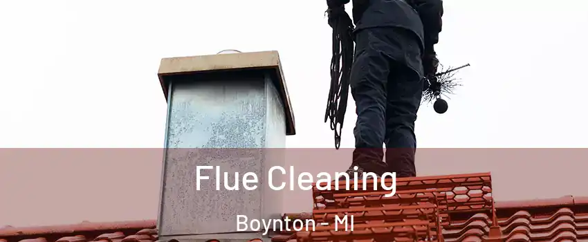 Flue Cleaning Boynton - MI