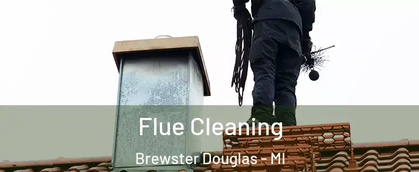 Flue Cleaning Brewster Douglas - MI
