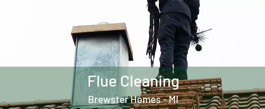 Flue Cleaning Brewster Homes - MI