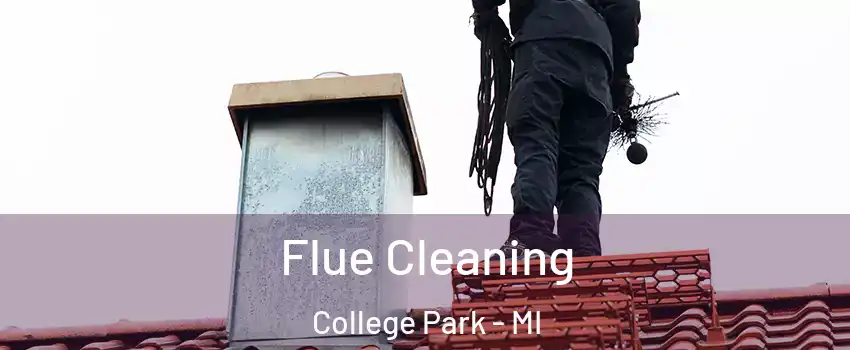 Flue Cleaning College Park - MI