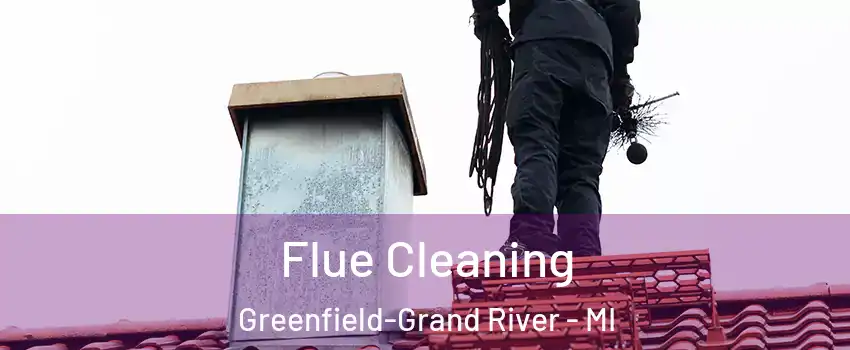 Flue Cleaning Greenfield-Grand River - MI