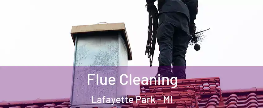 Flue Cleaning Lafayette Park - MI