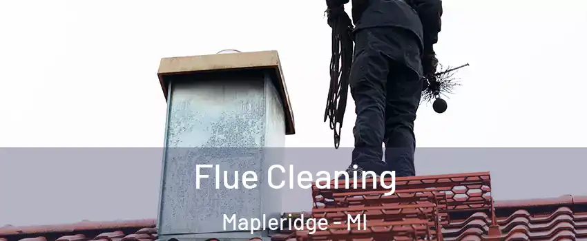 Flue Cleaning Mapleridge - MI