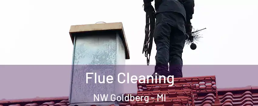 Flue Cleaning NW Goldberg - MI