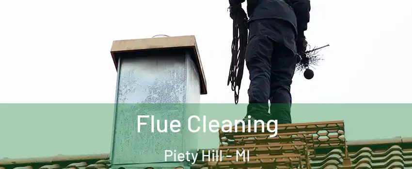 Flue Cleaning Piety Hill - MI