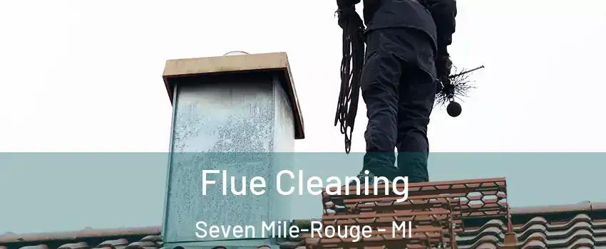 Flue Cleaning Seven Mile-Rouge - MI