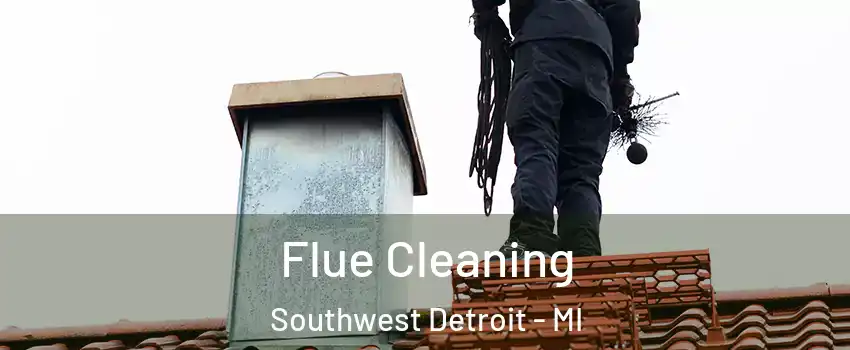 Flue Cleaning Southwest Detroit - MI