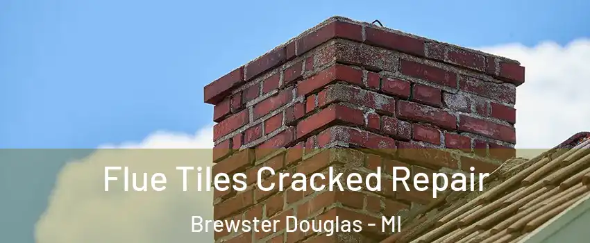 Flue Tiles Cracked Repair Brewster Douglas - MI