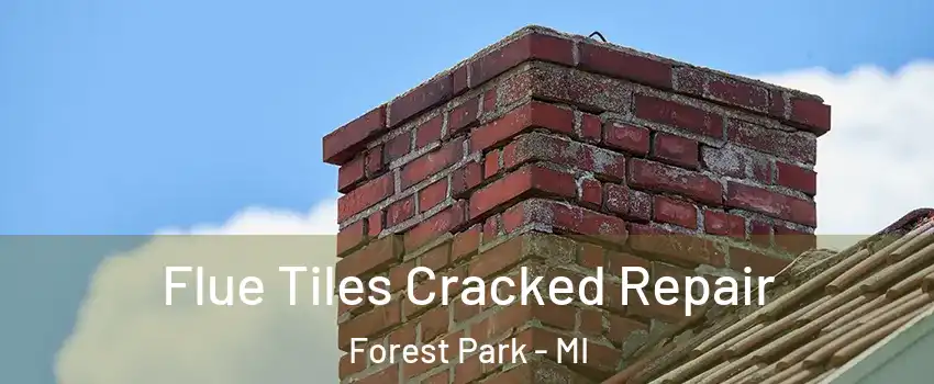 Flue Tiles Cracked Repair Forest Park - MI