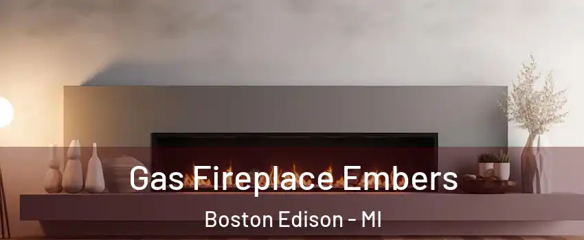 Gas Fireplace Embers Boston Edison - MI