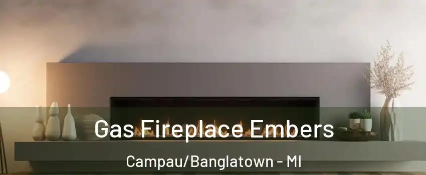 Gas Fireplace Embers Campau/Banglatown - MI