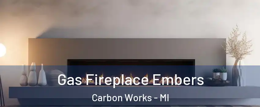 Gas Fireplace Embers Carbon Works - MI