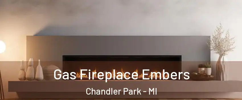 Gas Fireplace Embers Chandler Park - MI