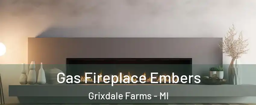 Gas Fireplace Embers Grixdale Farms - MI