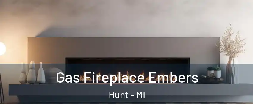 Gas Fireplace Embers Hunt - MI