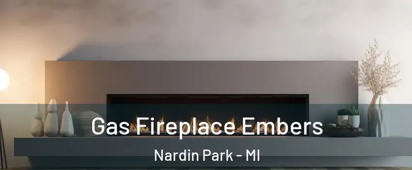 Gas Fireplace Embers Nardin Park - MI