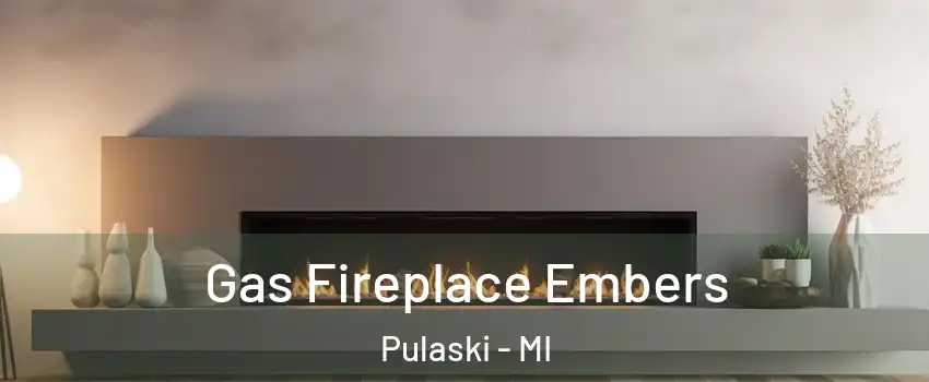 Gas Fireplace Embers Pulaski - MI