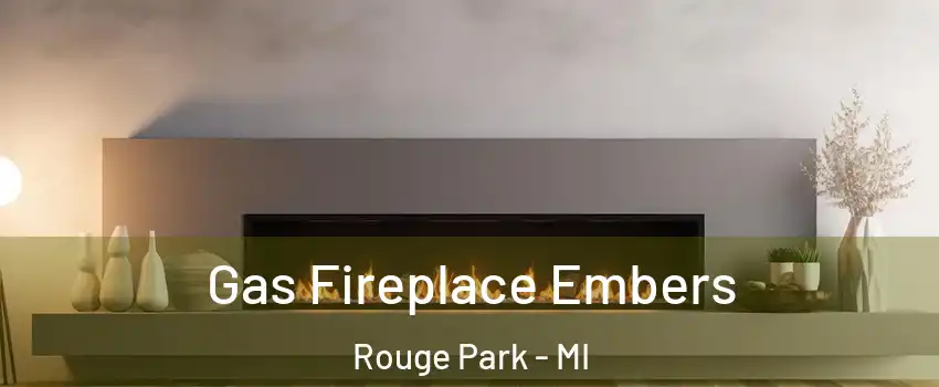 Gas Fireplace Embers Rouge Park - MI