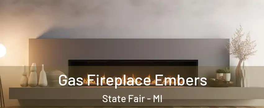 Gas Fireplace Embers State Fair - MI