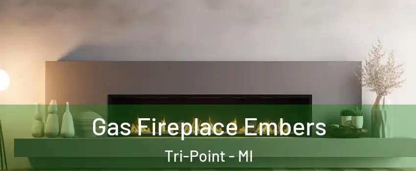 Gas Fireplace Embers Tri-Point - MI