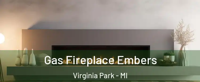 Gas Fireplace Embers Virginia Park - MI