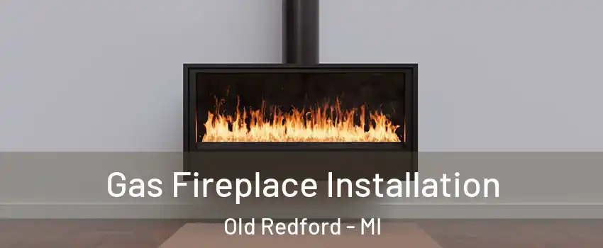 Gas Fireplace Installation Old Redford - MI