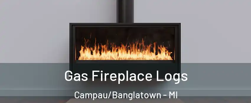 Gas Fireplace Logs Campau/Banglatown - MI
