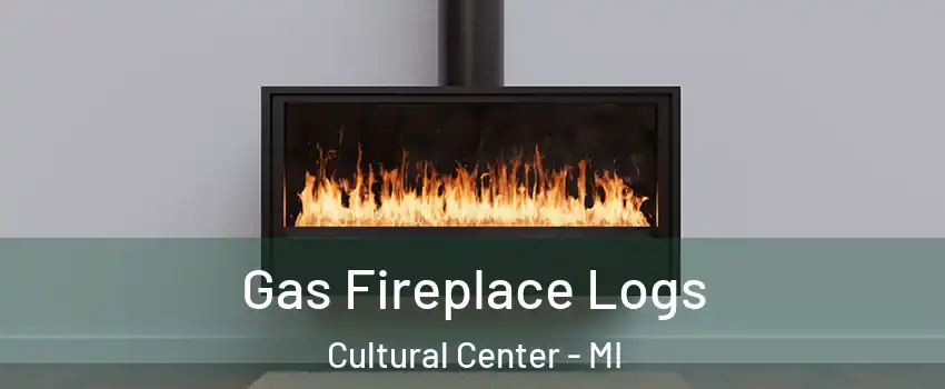 Gas Fireplace Logs Cultural Center - MI