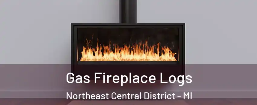 Gas Fireplace Logs Northeast Central District - MI