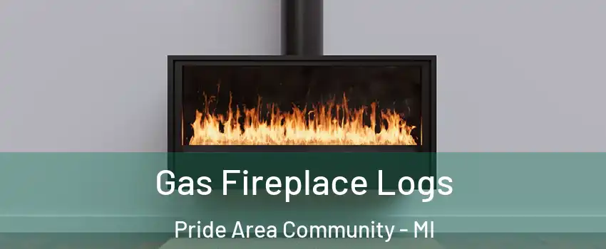 Gas Fireplace Logs Pride Area Community - MI