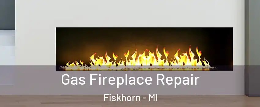 Gas Fireplace Repair Fiskhorn - MI