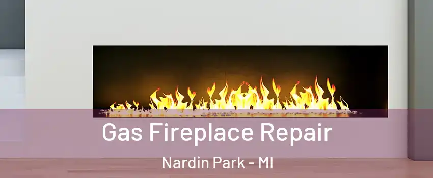 Gas Fireplace Repair Nardin Park - MI