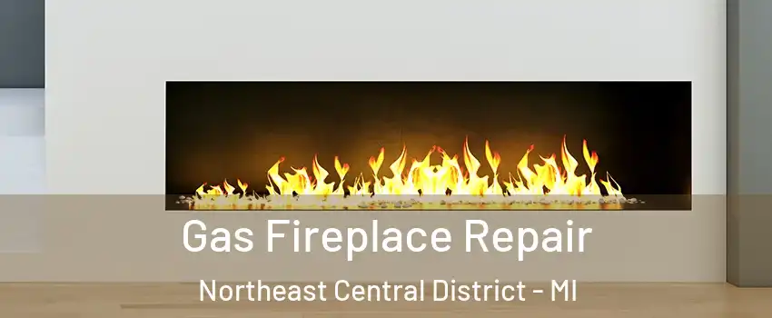 Gas Fireplace Repair Northeast Central District - MI