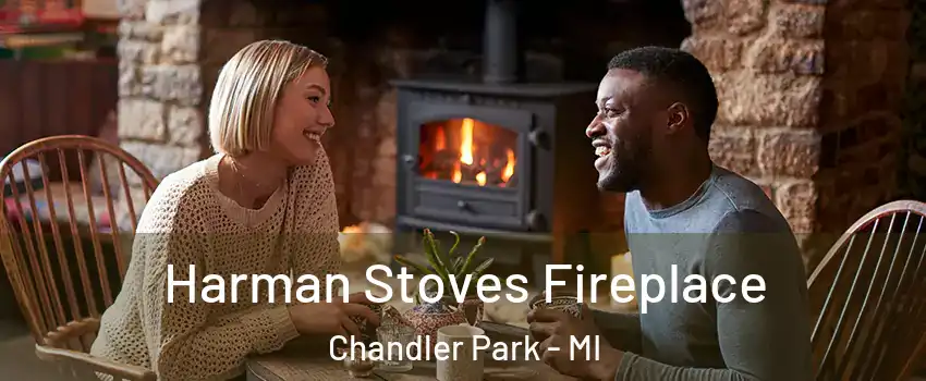 Harman Stoves Fireplace Chandler Park - MI