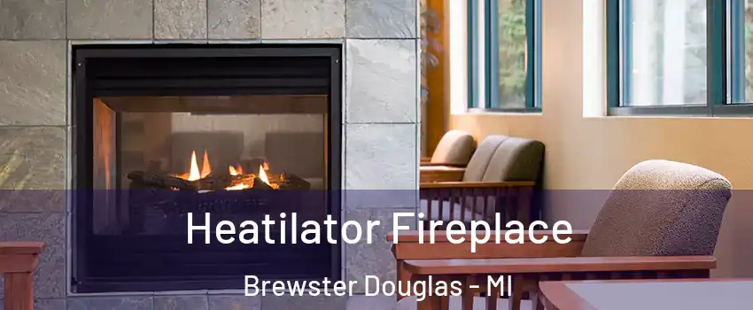 Heatilator Fireplace Brewster Douglas - MI