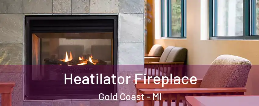 Heatilator Fireplace Gold Coast - MI