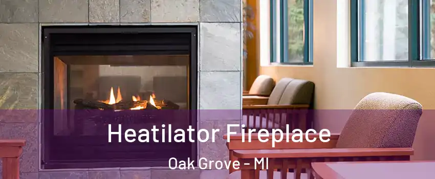Heatilator Fireplace Oak Grove - MI