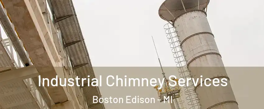 Industrial Chimney Services Boston Edison - MI