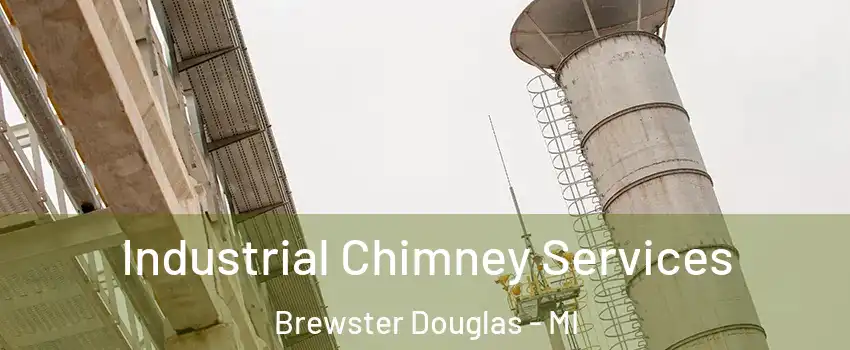 Industrial Chimney Services Brewster Douglas - MI