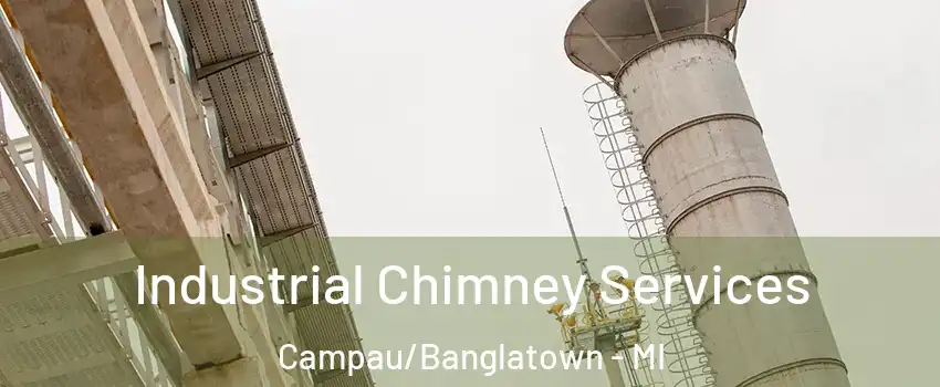 Industrial Chimney Services Campau/Banglatown - MI