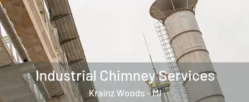 Industrial Chimney Services Krainz Woods - MI
