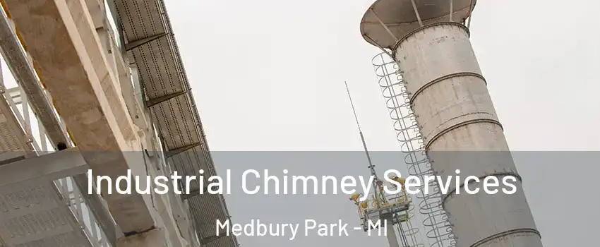 Industrial Chimney Services Medbury Park - MI