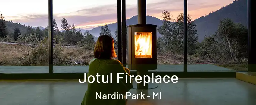 Jotul Fireplace Nardin Park - MI