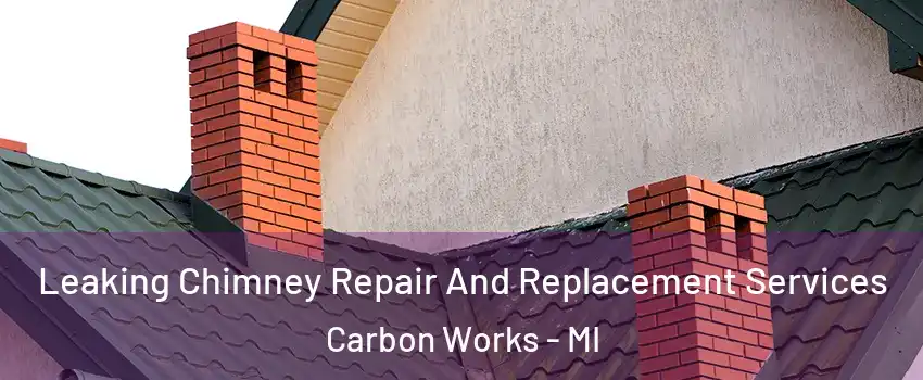 Leaking Chimney Repair And Replacement Services Carbon Works - MI