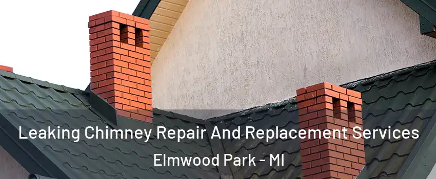 Leaking Chimney Repair And Replacement Services Elmwood Park - MI