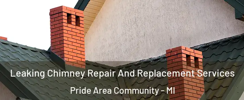 Leaking Chimney Repair And Replacement Services Pride Area Community - MI