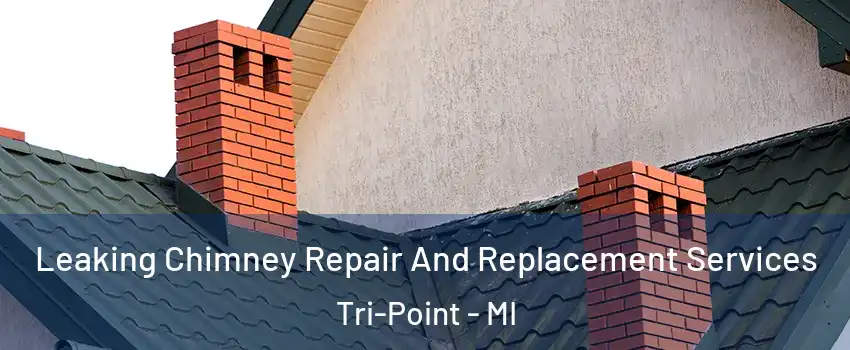 Leaking Chimney Repair And Replacement Services Tri-Point - MI