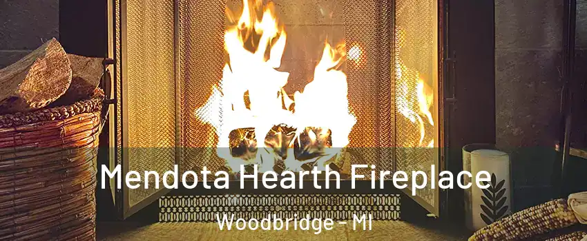 Mendota Hearth Fireplace Woodbridge - MI