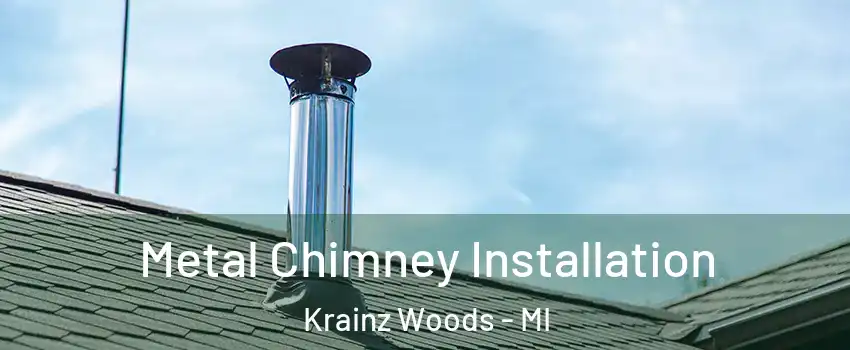 Metal Chimney Installation Krainz Woods - MI