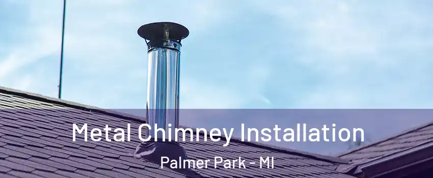 Metal Chimney Installation Palmer Park - MI